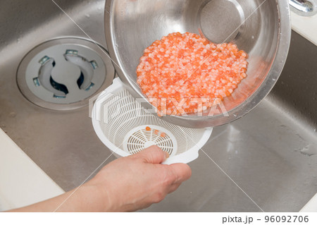 【イクラの醤油漬けを作るために、すすいだ生イクラを水切りする】 【イクラの醤油漬けを作るために、すすいだ生イクラを水切りする】 96092706