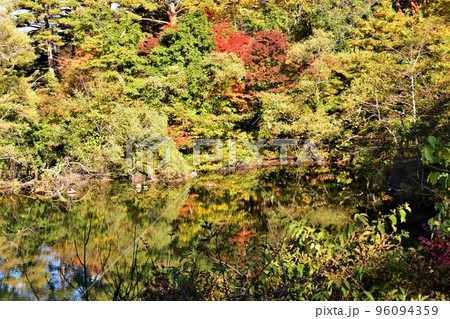 福島県・裏磐梯 秋の五色沼(母沼) 福島県・裏磐梯 秋の五色沼(母沼) 96094359
