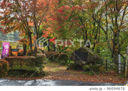 秋の巴淵【天気雨】 96094678