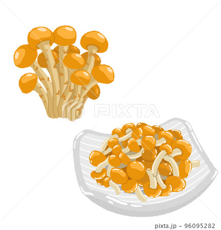 なめこのイラスト なめこのイラスト 96095282