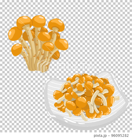 なめこのイラスト なめこのイラスト 96095282