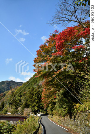 玉川峡(市平橋・黒河道) 【和歌山県九度山町】 玉川峡(市平橋・黒河道) 【和歌山県九度山町】 96095402