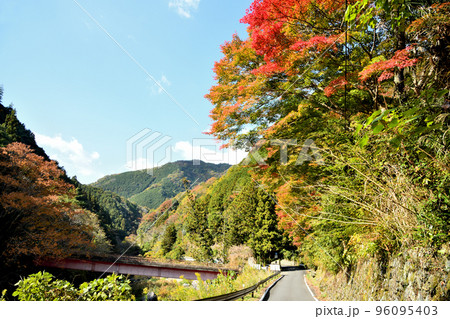 玉川峡(市平橋・黒河道)　【和歌山県九度山町】 96095403
