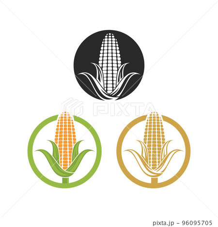 Corn logo illustration vector 96095705