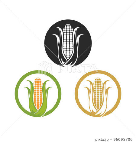 Corn logo illustration vector Corn logo illustration vector 96095706