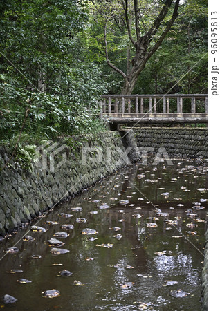 等々力渓谷の遊歩道(東京都世田谷区) 等々力渓谷の遊歩道(東京都世田谷区) 96095813
