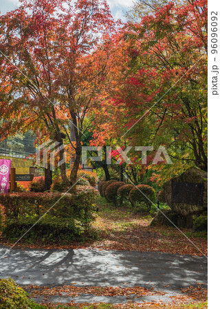 秋の巴淵【天気雨】 96096092