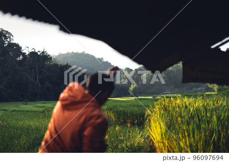evening rice fields in the countryside 96097694