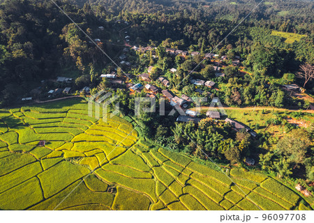 evening rice fields in the countryside evening rice fields in the countryside 96097708