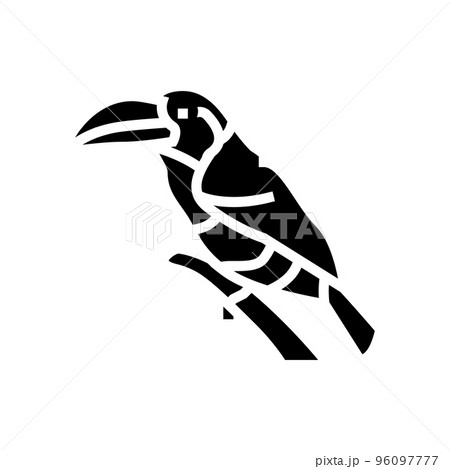 curl crested aracari bird exotic glyph icon vector illustration curl crested aracari bird exotic glyph icon vector illustration 96097777
