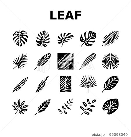 palm leaf summer plant green icons set vector palm leaf summer plant green icons set vector 96098040