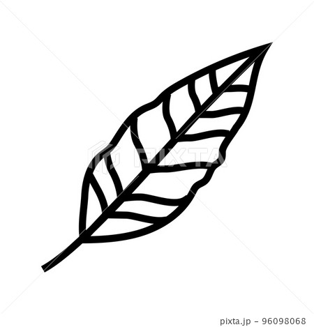 stelizia tropical leaf line icon vector illustration stelizia tropical leaf line icon vector illustration 96098068