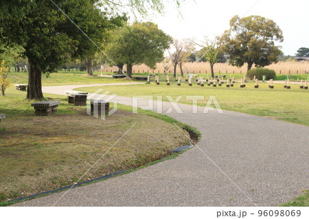 奈良平城宮跡内の広場で見られる樹木と遊歩道 奈良平城宮跡内の広場で見られる樹木と遊歩道 96098069