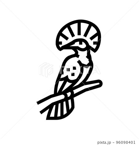 royal flycatcher bird exotic line icon vector illustration 96098401