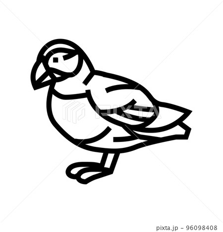 atlantic puffin bird exotic line icon vector illustration 96098408