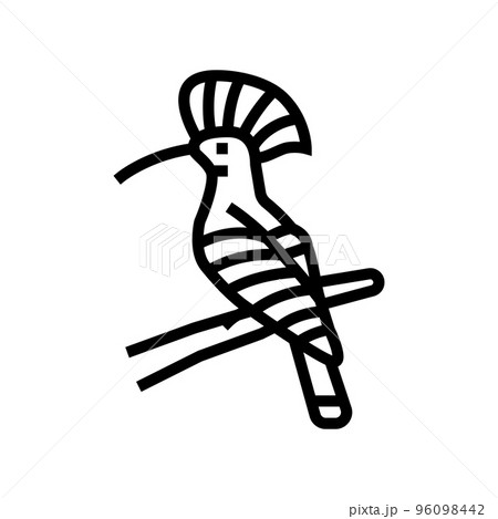 hoopoe bird exotic line icon vector illustration 96098442