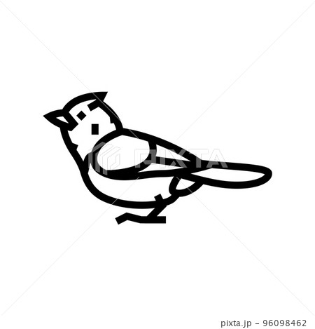 darnauds barbet bird exotic line icon vector illustration 96098462