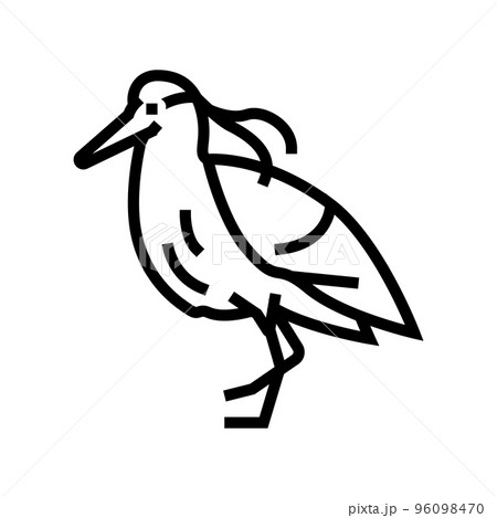 capped heron bird exotic line icon vector illustration 96098470