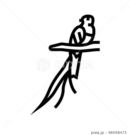 quetzal bird exotic line icon vector illustration 96098475