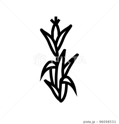 corn plant green line icon vector illustrationのイラスト素材 [96098531] - PIXTA