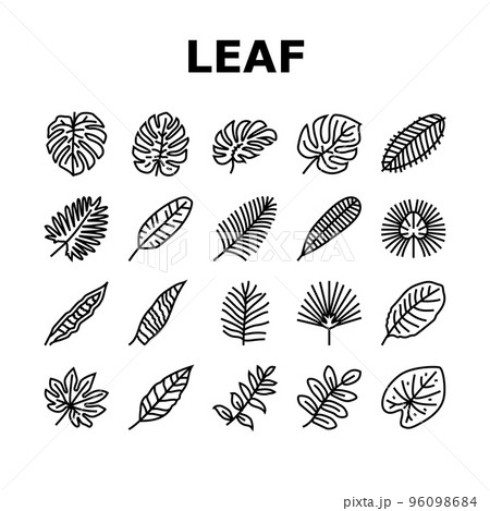 palm leaf summer plant green icons set vector 96098684