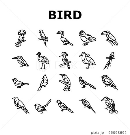 bird exotic animal nature wild icons set vector 96098692