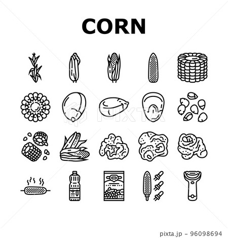 corn maize green, cob sweet icons set vector 96098694