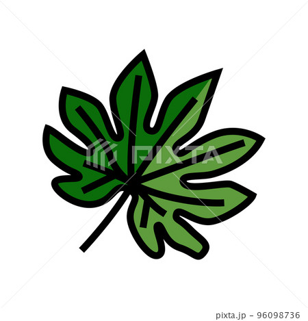 fatsia japonica tropical leaf color icon vector illustration fatsia japonica tropical leaf color icon vector illustration 96098736