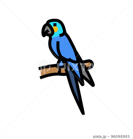 the lears macaw bird exotic color icon vector illustration 96098993