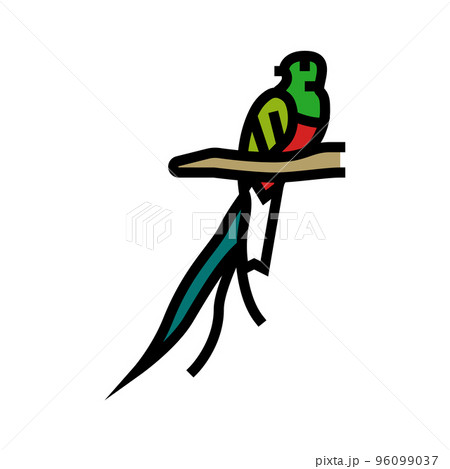 quetzal bird exotic color icon vector illustration 96099037