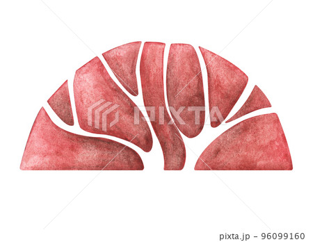 Abstract forest trees. Watercolor illustration, Autumn trees. 96099160