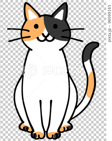 三毛猫のイラスト素材 96099165