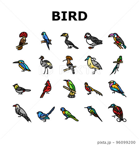 bird exotic animal nature wild icons set vector 96099200