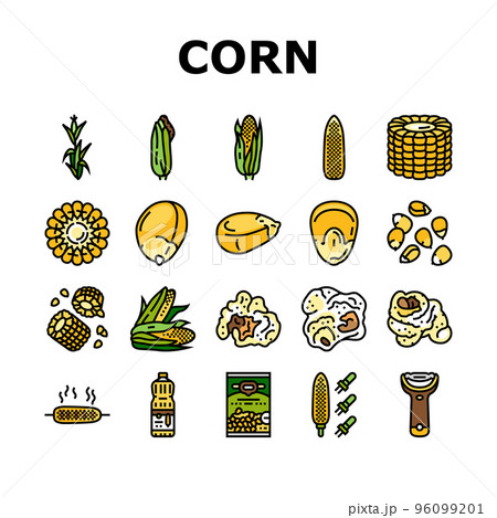 corn maize green, cob sweet icons set vector 96099201