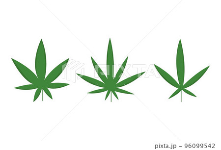 Set of marijuana cannabis leaves in flat style concept. Green medical cannabis icons set. 96099542