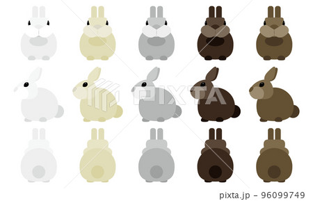5色のうさぎのイラストセット 5色のうさぎのイラストセット 96099749