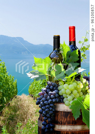 Red and white wine bottles and grapes on wine barrel 96100857
