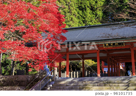 紅葉真っ盛りの高野山 紅葉真っ盛りの高野山 96101735