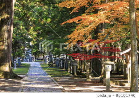 紅葉真っ盛りの高野山 96101740