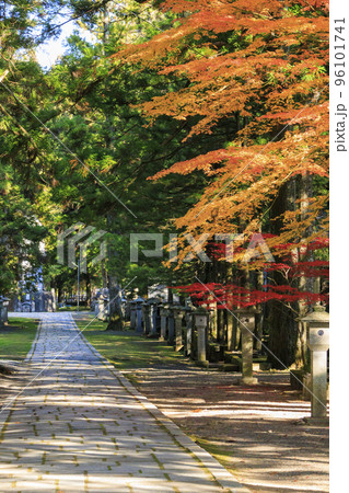 紅葉真っ盛りの高野山 紅葉真っ盛りの高野山 96101741
