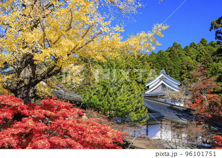 紅葉真っ盛りの高野山 96101751