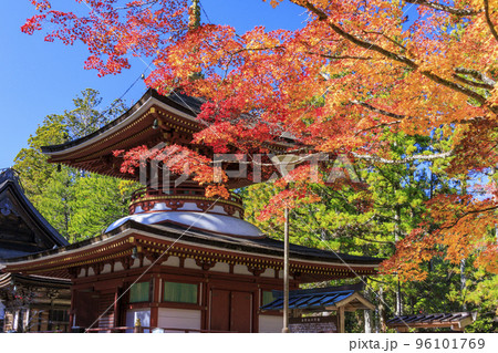 紅葉真っ盛りの高野山 紅葉真っ盛りの高野山 96101769