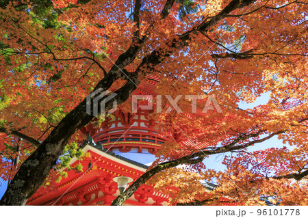 紅葉真っ盛りの高野山 96101778