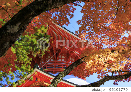紅葉真っ盛りの高野山 96101779