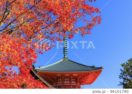 紅葉真っ盛りの高野山 96101780