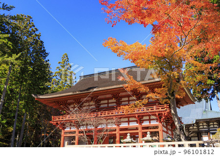 紅葉真っ盛りの高野山 紅葉真っ盛りの高野山 96101812