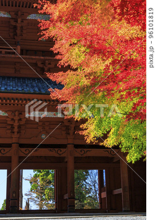 紅葉真っ盛りの高野山 紅葉真っ盛りの高野山 96101819