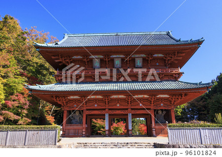 紅葉真っ盛りの高野山 紅葉真っ盛りの高野山 96101824