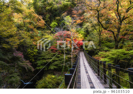 茨城県高萩市 紅葉の花貫渓谷 汐見滝吊り橋 茨城県高萩市 紅葉の花貫渓谷 汐見滝吊り橋 96103510