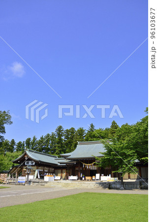 茨城県水戸市の護国神社 菊祭り 茨城県水戸市の護国神社 菊祭り 96103677